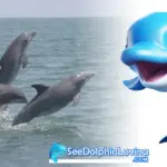 Lumba-Lumba Hidung Botol di Lovina Bali – Cek 5 Fakta Utamanya!